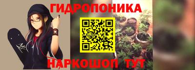 крисы Гусиноозёрск