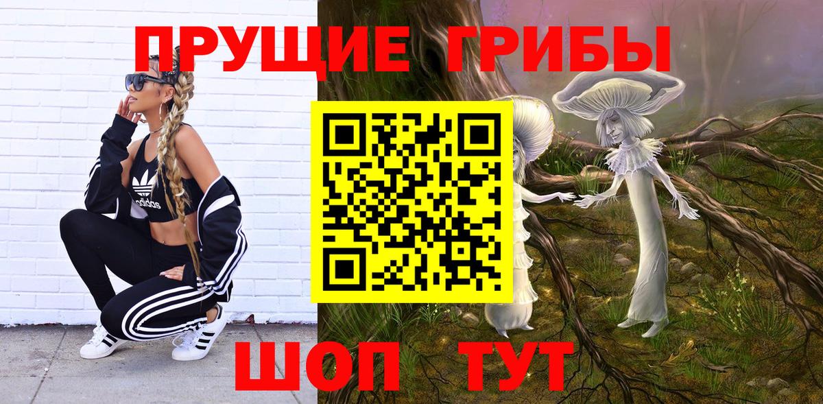 Галлюциногенные грибы GOLDEN TEACHER Хабаровск