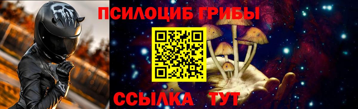 Галлюциногенные грибы Magic Shrooms  Хабаровск  наркошоп  Псилоцибиновые грибы прущие грибы 